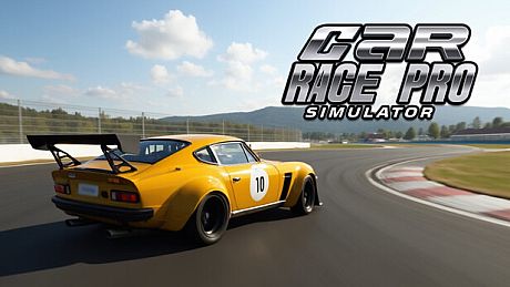 Car Race Pro Simulator