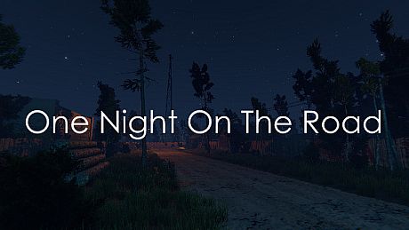One Night On The Road Game