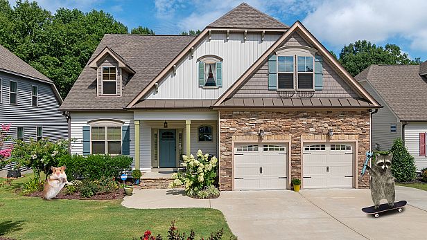 Buy My Lovely Pets Collector's Edition