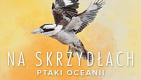 Wingspan: Oceania Expansion