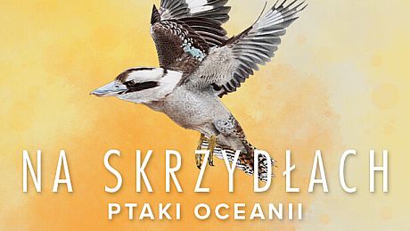 Wingspan: Oceania Expansion DLC