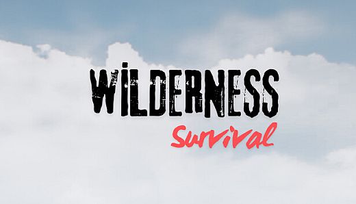 Wilderness: Survival