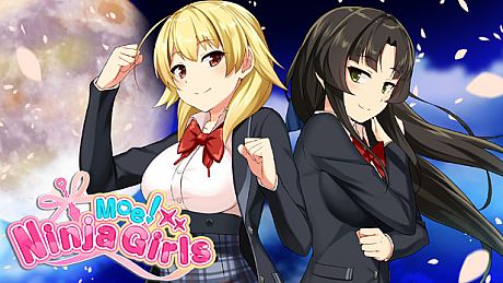 Moe! Ninja Girls Game