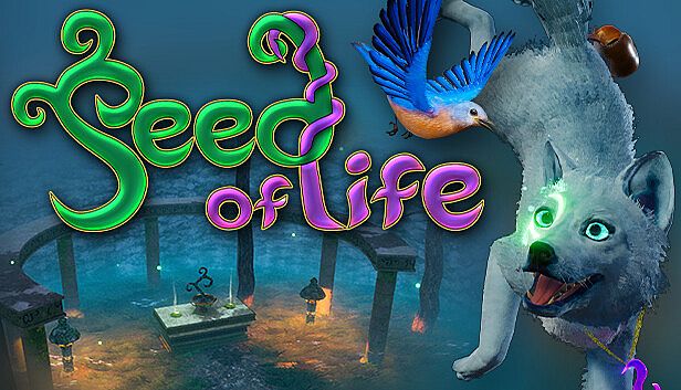 Buy Seed of Life