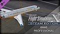 FSX: Steam Edition - RAAS Professional Add-On
