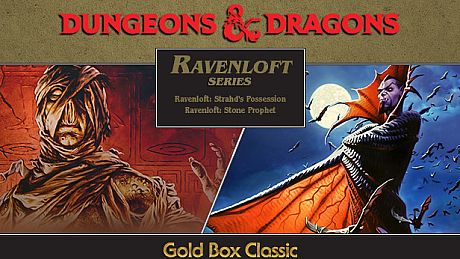 Dungeons & Dragons: Ravenloft Series Game