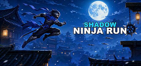 Shadow Ninja Run Game