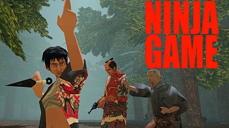 Ninja Game Game