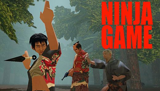 Ninja Game