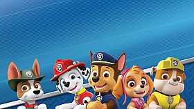 Paw Patrol: On a Roll