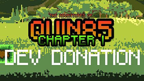 Adventures of Quin85 - Dev Donation Pack DLC