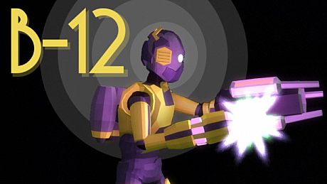 B-12 Game