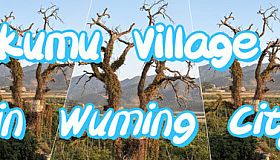 Kumu Village in Wuming City