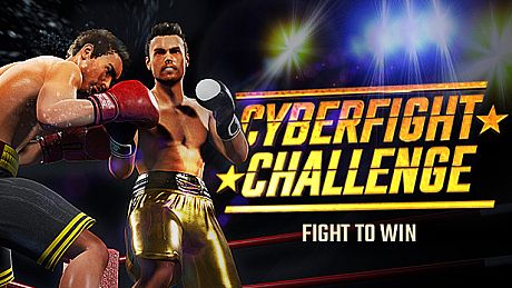 Cyber Fight Challenge Game