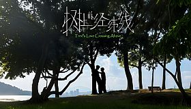 Tree's Love Crossing Above