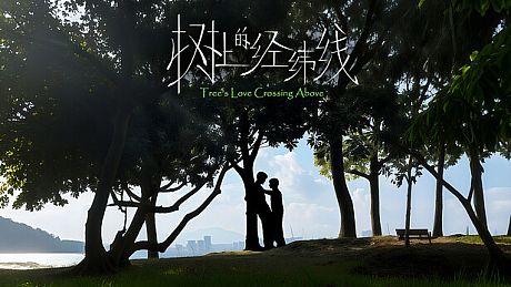 Tree's Love Crossing Above Game