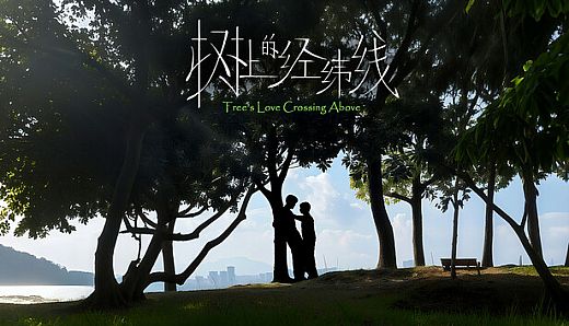 Tree's Love Crossing Above