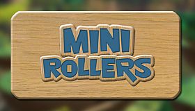 Mini Rollers