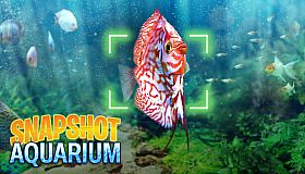 Snapshot Aquarium