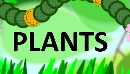 Plants
