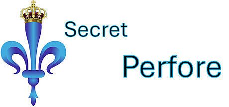 Secret Perfore Game