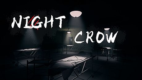 NIGHT CROW Game