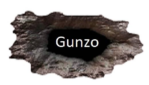 GUNZO!