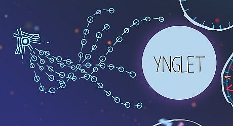 Ynglet Game