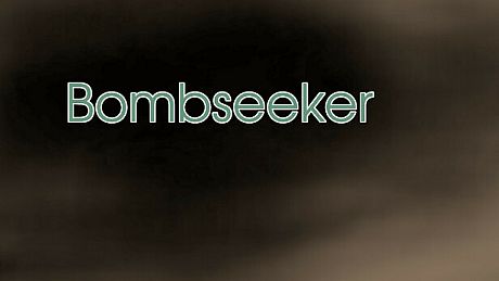 Bombseeker Game