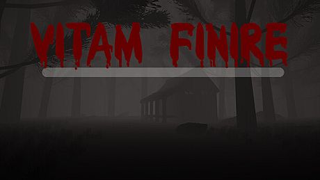 Vitam Finire Game