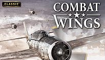 Acheter Combat Wings PC