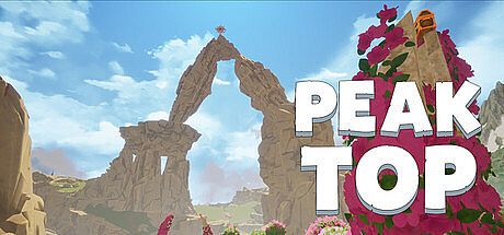 Peak Top Game