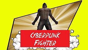 Cyberpunk Fighter