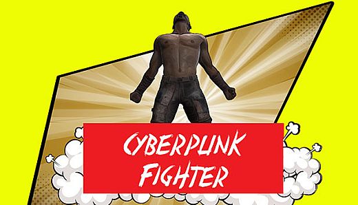 Cyberpunk Fighter