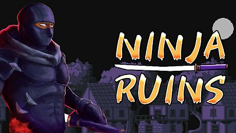 Ninja Ruins