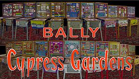 Bingo Pinball Gameroom - Bally Cypress Gardens