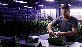 Weed Lord Simulator