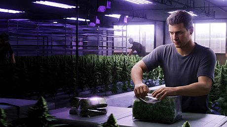 Weed Lord Simulator Game