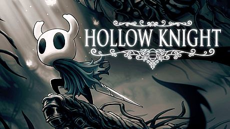 Hollow Knight Game