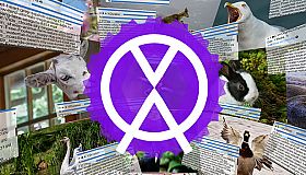 1 multi screen media player gallery video wall photo slideshow wizard app