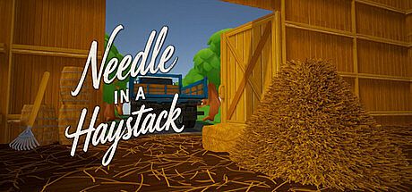Needle In a Haystack