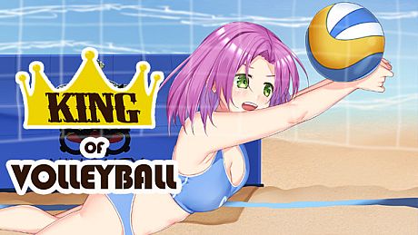 King of Volleyball Game
