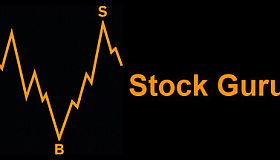 Stock Guru?