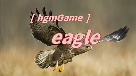 hgmGame-eagle Game