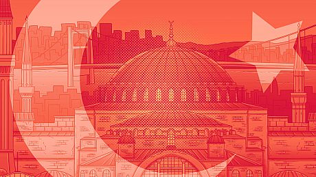 Hidden Cats in Istanbul Game