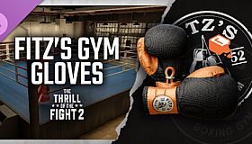 The Thrill Of The Fight 2 - Fitz Gym Original Gloves