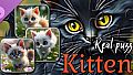 Real Kitten Puzzles (images)