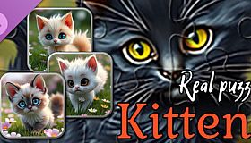 Real Kitten Puzzles (images)