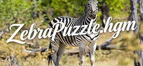 ZebraPuzzle.hgm Game