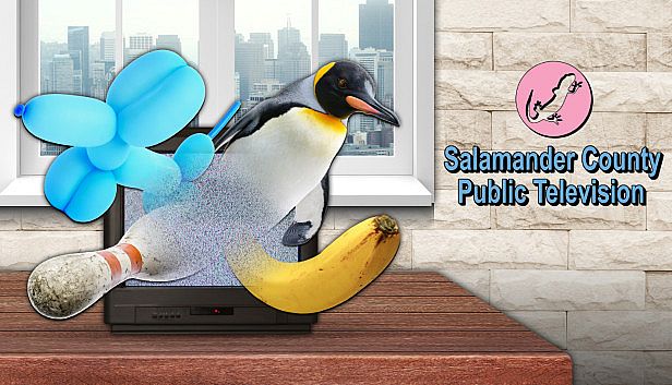 Buy Salamander County Public Television